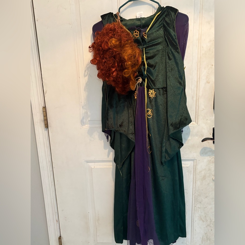 Hocus Pocus Winnie Sanford Costume Dress with Wig🎃